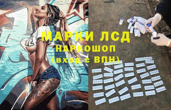 стаф Вяземский