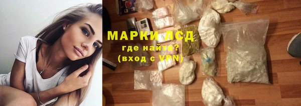 прущие грибы Волосово