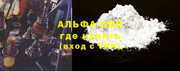 прущие грибы Волосово