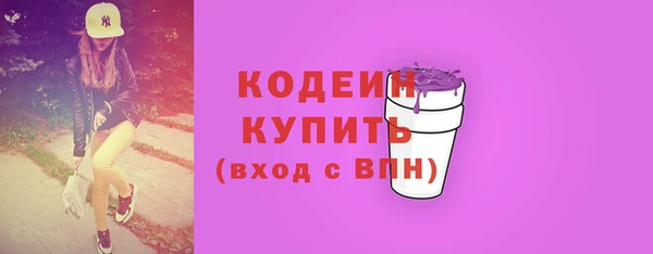 стаф Вяземский