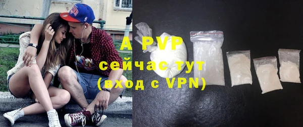 прущие грибы Волосово