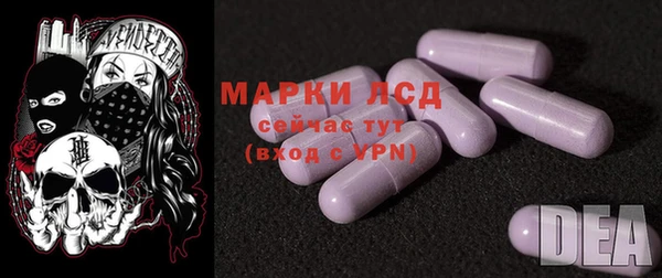 прущие грибы Волосово