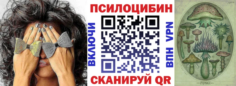OMG Ульяновск Псилоцибиновые грибы мицелий